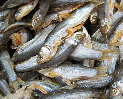 �՚��ܟ�ú��r��ɰ���